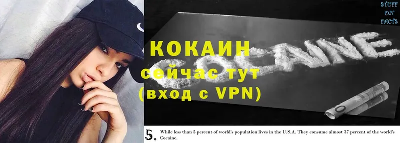 Cocaine Эквадор  omg как войти  Минусинск 