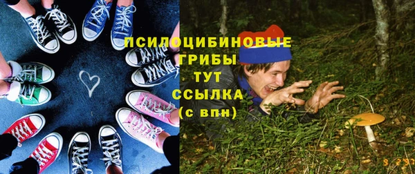 гашик Нефтегорск