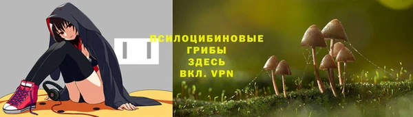 гашик Нефтегорск