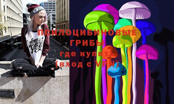 Альфа ПВП Нефтекумск