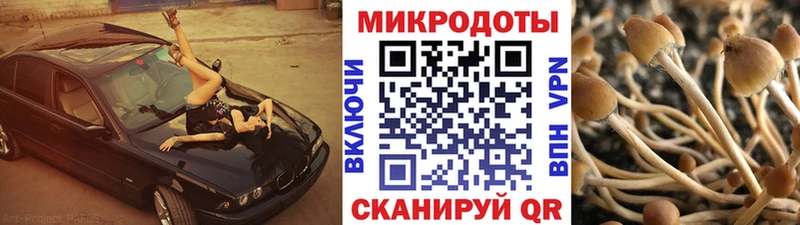 Псилоцибиновые грибы мицелий  Минусинск 