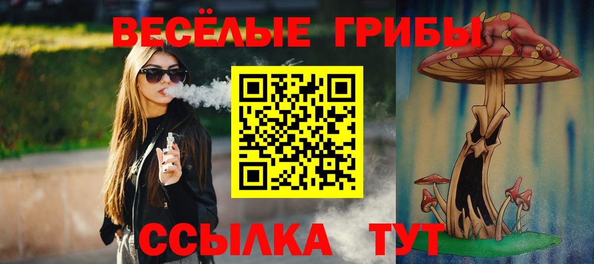 Галлюциногенные грибы Psilocybe  Галлюциногенные грибы мицелий  Вход с VPN  где можно купить   Минусинск 